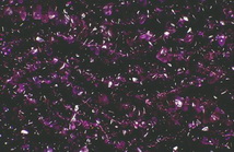 Imagenes y texturas de Abalorios