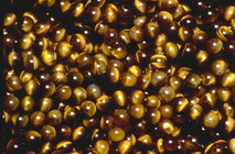 Imagenes y texturas de Abalorios