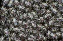 Imagenes y texturas de Abalorios