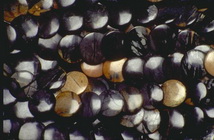 Imagenes y texturas de Abalorios