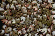 Imagenes y texturas de Abalorios