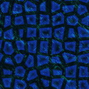 Imagenes y texturas de Motivos Abstractos-2