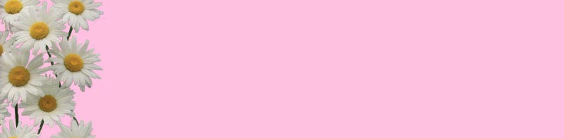 Imagenes y texturas de Bordes-2