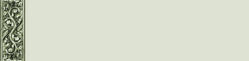 Imagenes y texturas de Bordes