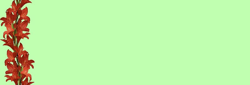 Imagenes y texturas de Bordes