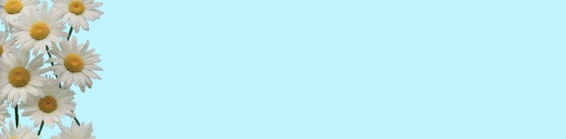 Imagenes y texturas de Bordes