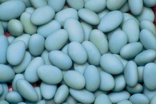 Imagenes y texturas de Chucherias