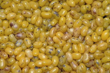 Imagenes y texturas de Chucherias