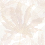 Imagenes y texturas de Color-Claro