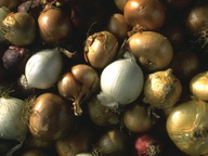 Imagenes y texturas de Comida