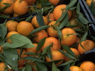 Imagenes y texturas de Comida