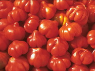 Imagenes y texturas de Comida