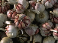 Imagenes y texturas de Comida