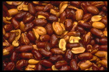 Imagenes y texturas de Comida