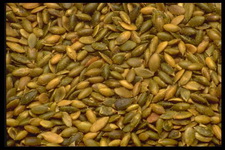 Imagenes y texturas de Comida