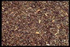 Imagenes y texturas de Comida