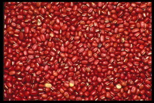 Imagenes y texturas de Comida