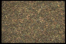 Imagenes y texturas de Comida