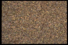 Imagenes y texturas de Comida