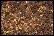 Imagenes y texturas de Comida