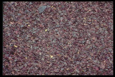 Imagenes y texturas de Comida