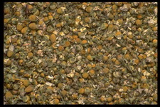 Imagenes y texturas de Comida