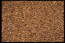 Imagenes y texturas de Comida