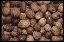 Imagenes y texturas de Comida