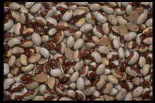 Imagenes y texturas de Comida