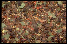 Imagenes y texturas de Comida