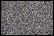 Imagenes y texturas de Comida