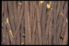 Imagenes y texturas de Comida