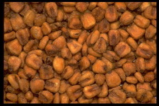 Imagenes y texturas de Comida