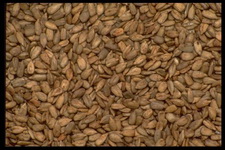 Imagenes y texturas de Comida