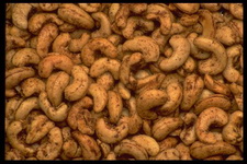 Imagenes y texturas de Comida