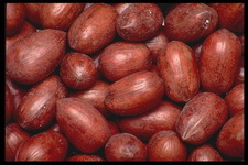 Imagenes y texturas de Comida