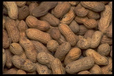 Imagenes y texturas de Comida