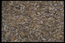 Imagenes y texturas de Comida