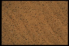 Imagenes y texturas de Comida