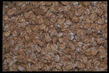 Imagenes y texturas de Comida