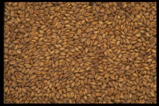 Imagenes y texturas de Comida