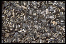 Imagenes y texturas de Comida