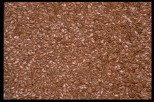 Imagenes y texturas de Comida