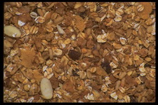 Imagenes y texturas de Comida