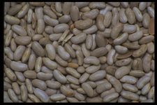 Imagenes y texturas de Comida