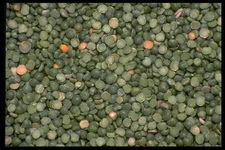 Imagenes y texturas de Comida