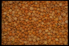 Imagenes y texturas de Comida