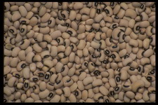 Imagenes y texturas de Comida