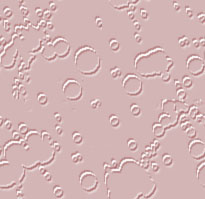 Imagenes y texturas de Decorativos