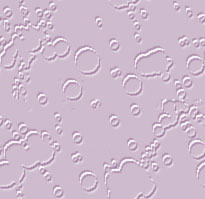 Imagenes y texturas de Decorativos